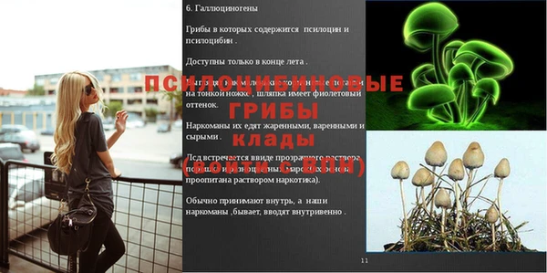 винт Майский